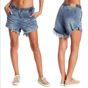 One Teaspoon Brave Hunters shorts